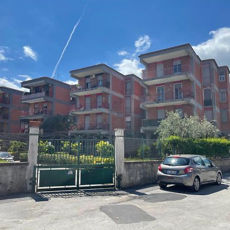 كاستيلاّماري دي ستا Flavia Apartment المظهر الخارجي الصورة